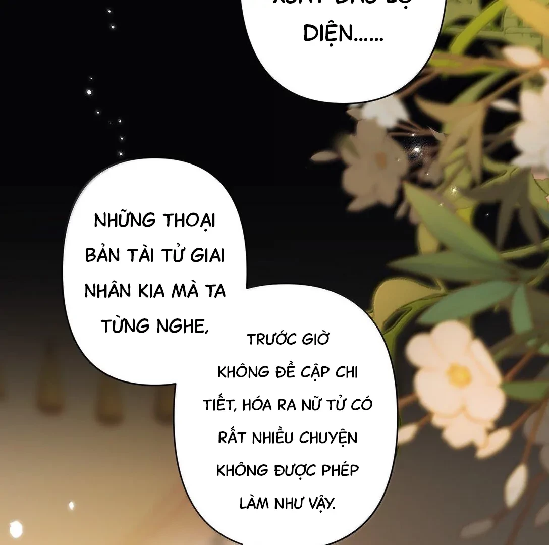 Đông Hải Tìm Mỹ Nhân Chapter 24 - 23