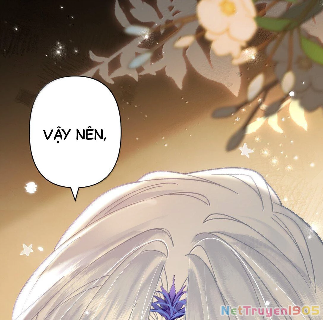 Đông Hải Tìm Mỹ Nhân Chapter 24 - 28