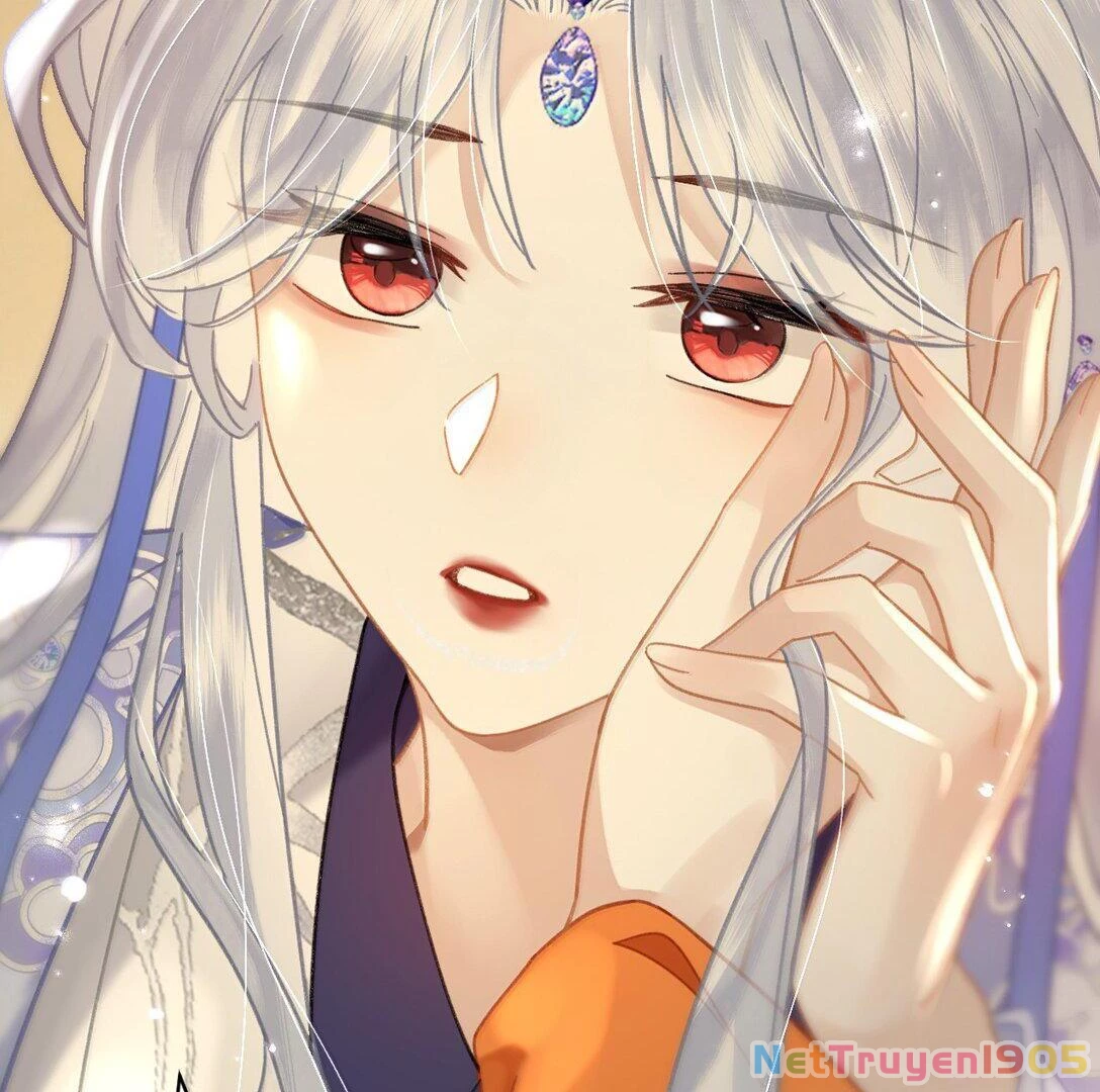 Đông Hải Tìm Mỹ Nhân Chapter 24 - 29