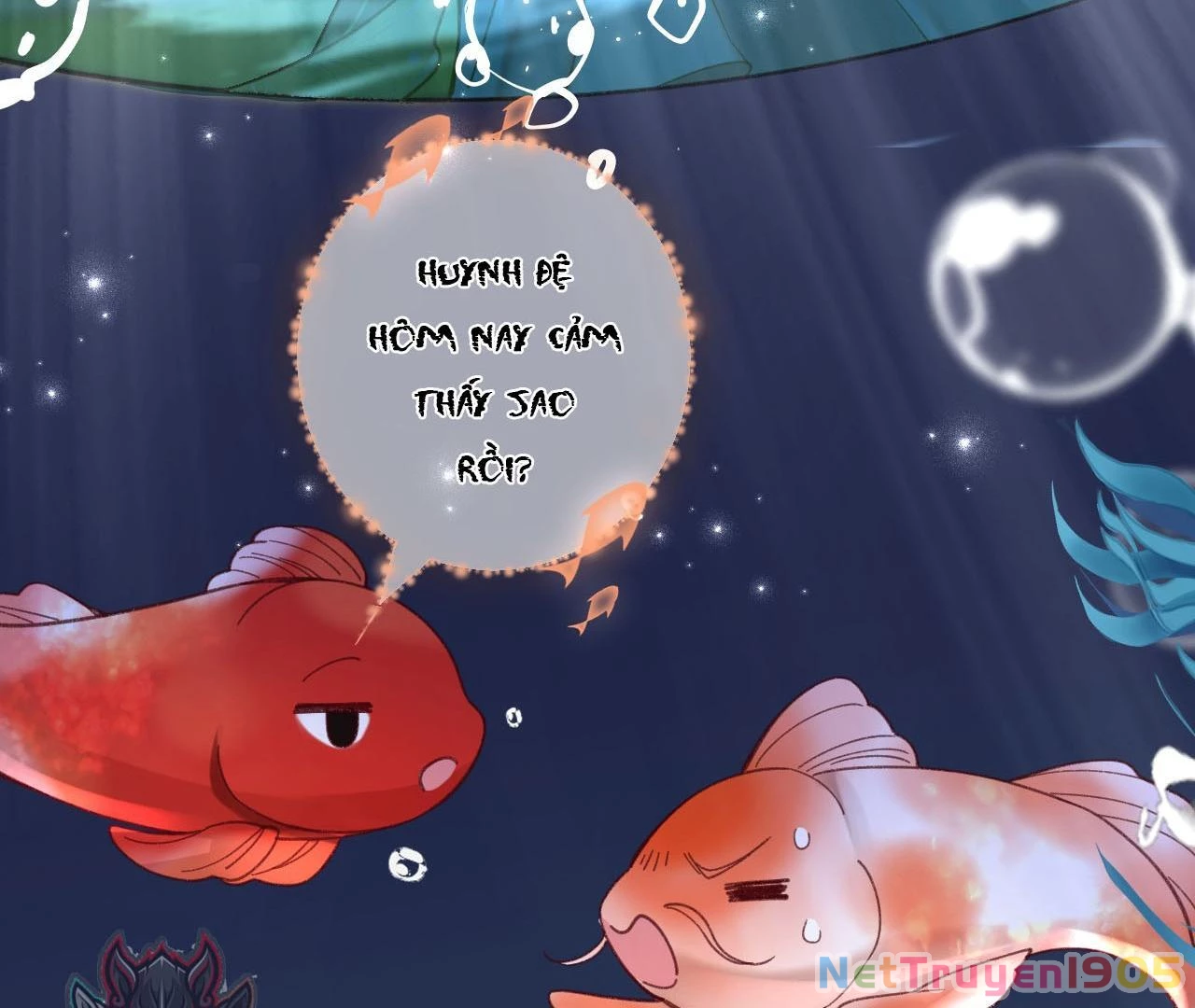 Đông Hải Tìm Mỹ Nhân Chapter 26 - 32