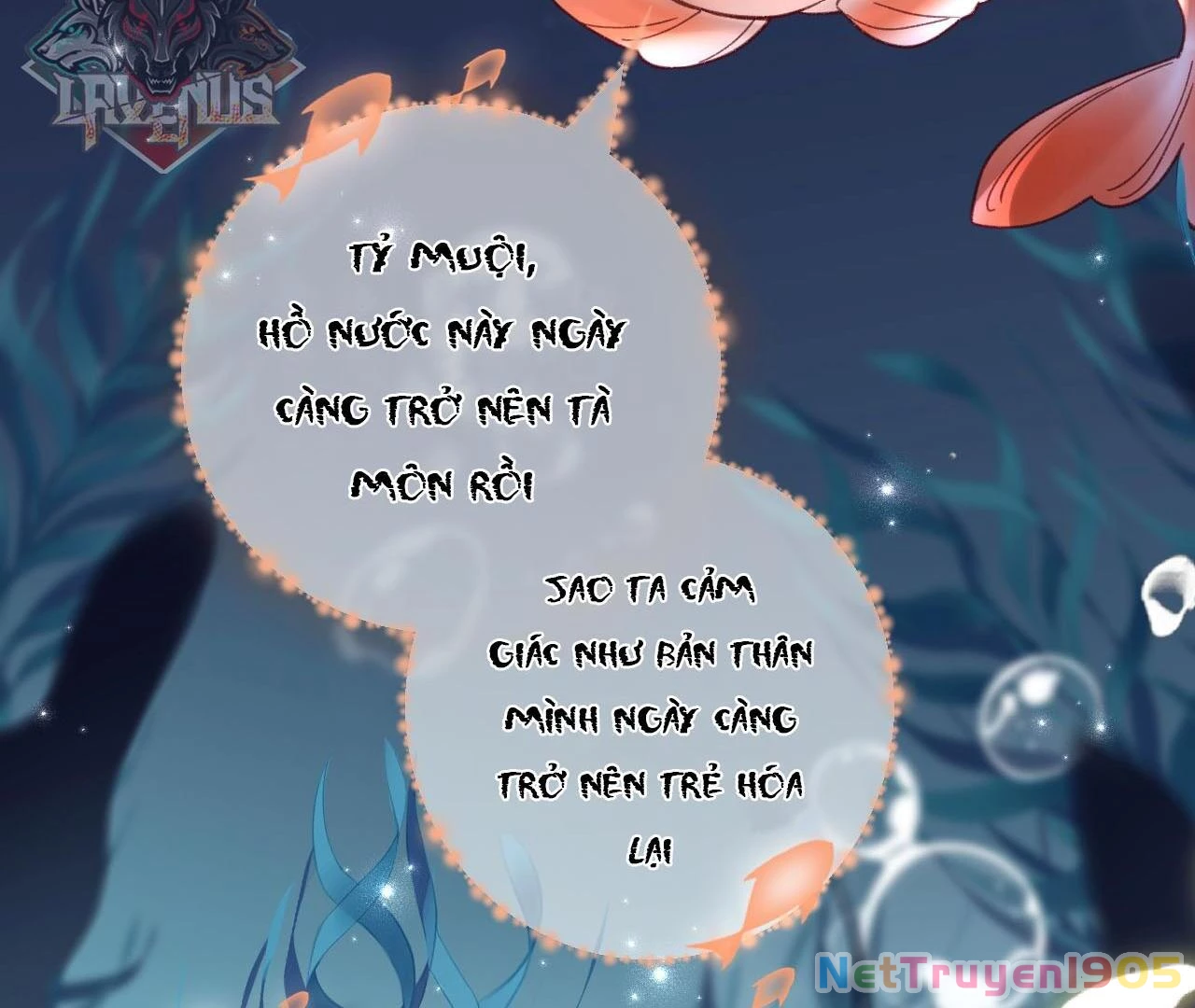 Đông Hải Tìm Mỹ Nhân Chapter 26 - 33