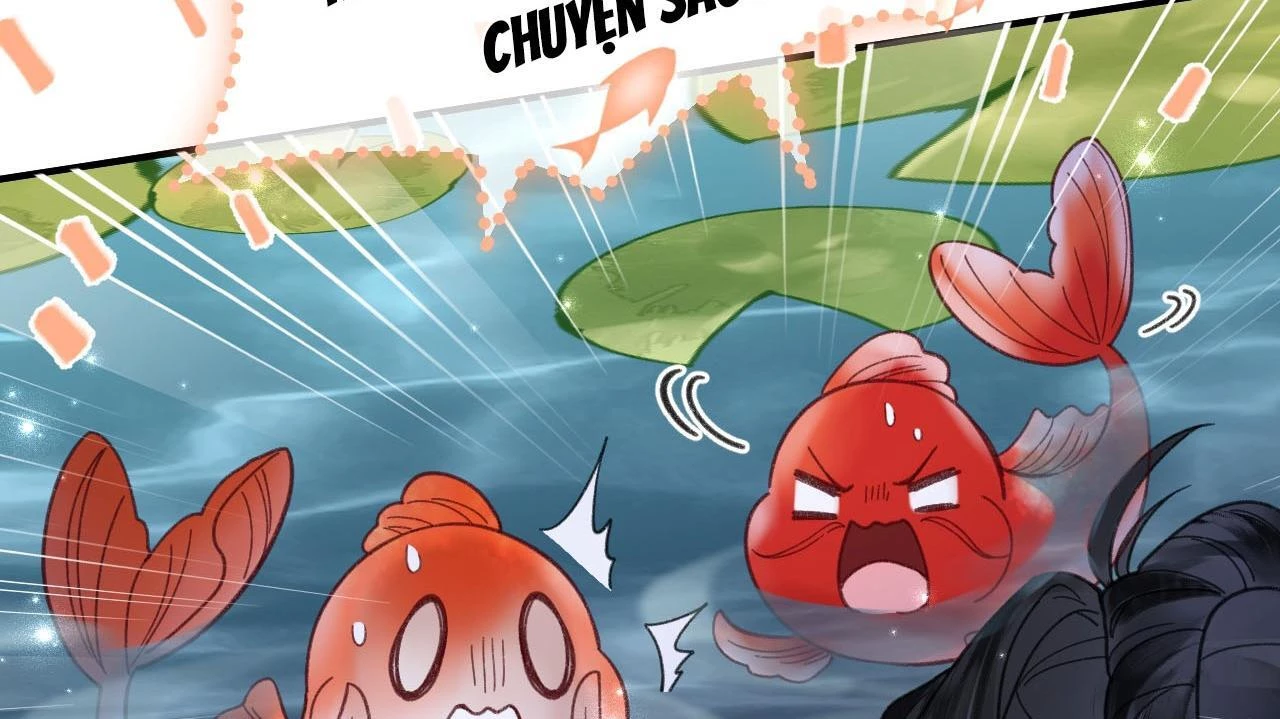 Đông Hải Tìm Mỹ Nhân Chapter 26 - 38