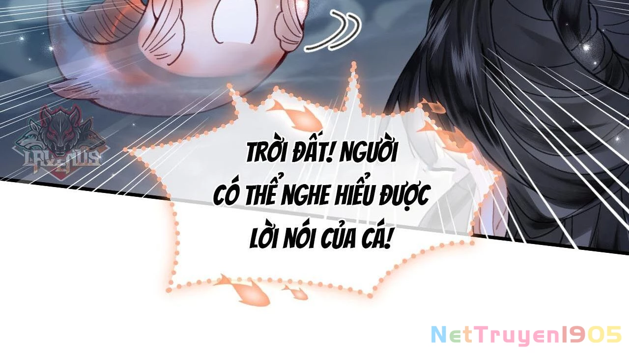 Đông Hải Tìm Mỹ Nhân Chapter 26 - 39