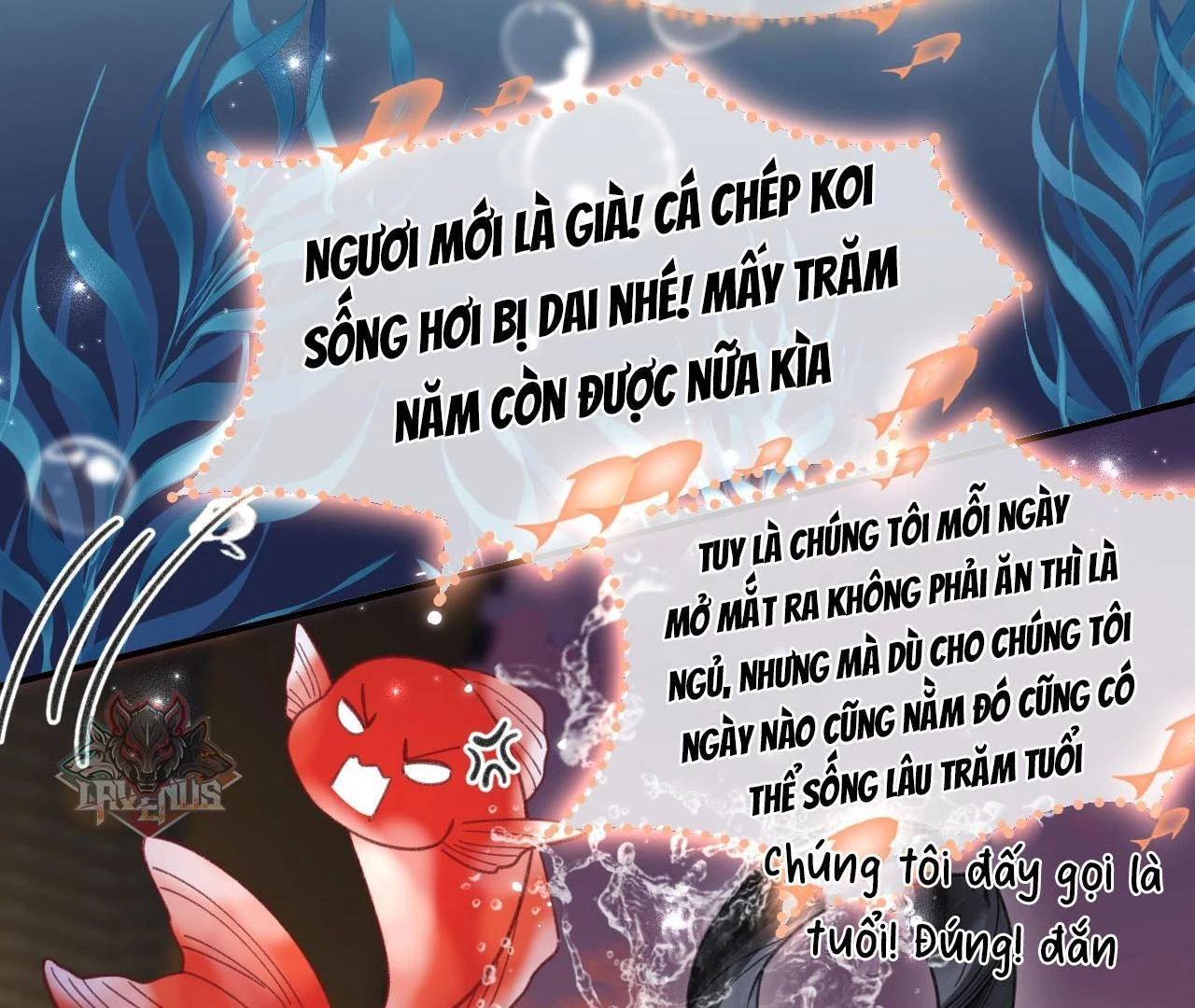 Đông Hải Tìm Mỹ Nhân Chapter 26 - 41