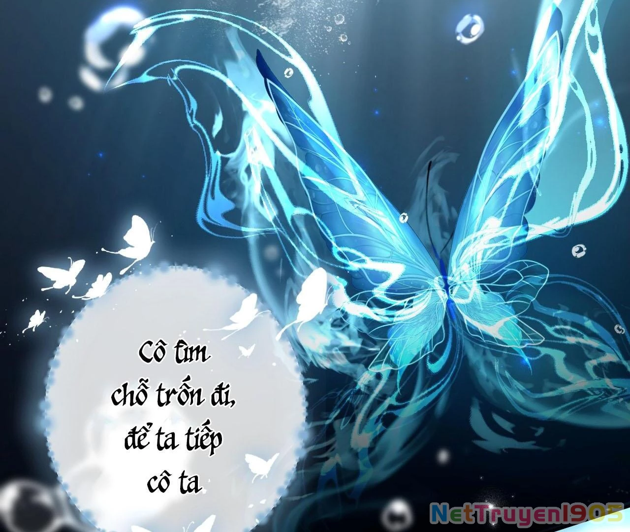 Đông Hải Tìm Mỹ Nhân Chapter 27 - 28