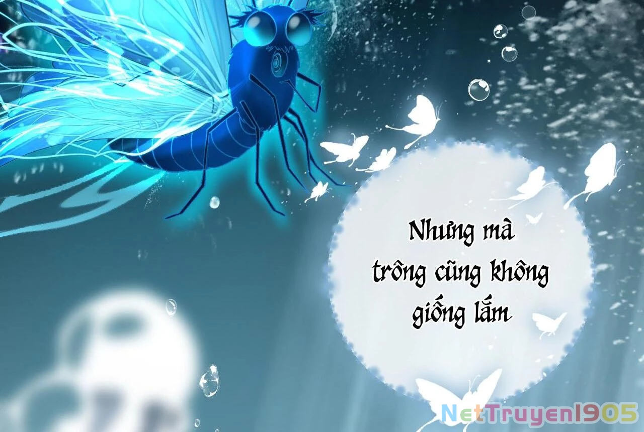 Đông Hải Tìm Mỹ Nhân Chapter 27 - 33