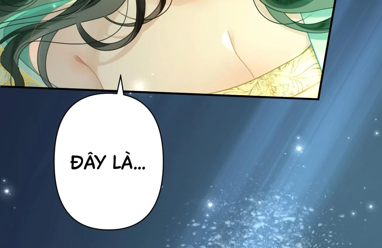 Đông Hải Tìm Mỹ Nhân Chapter 28 - 48