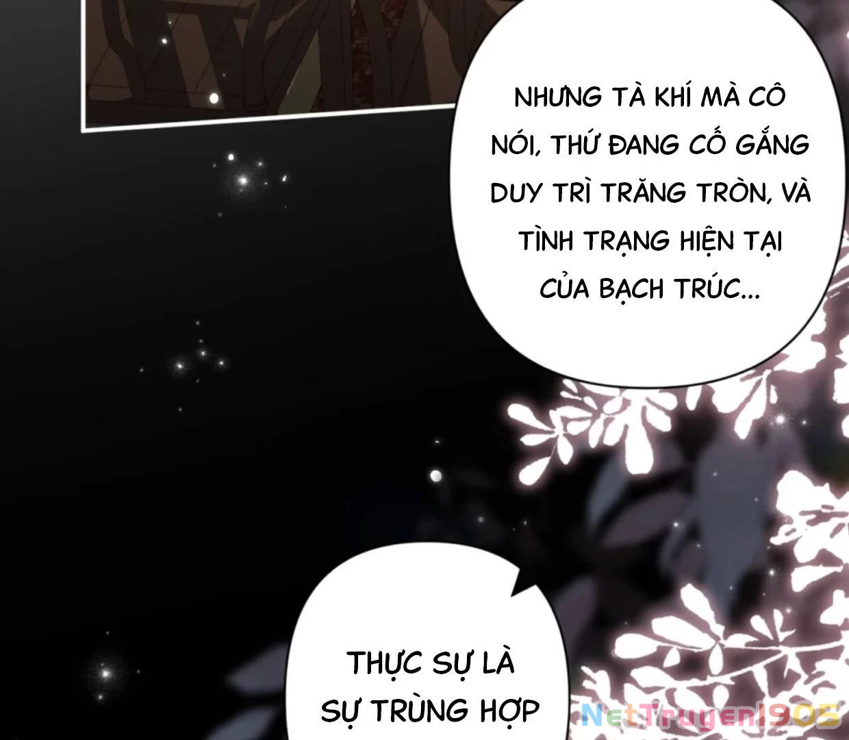 Đông Hải Tìm Mỹ Nhân Chapter 31 - 17