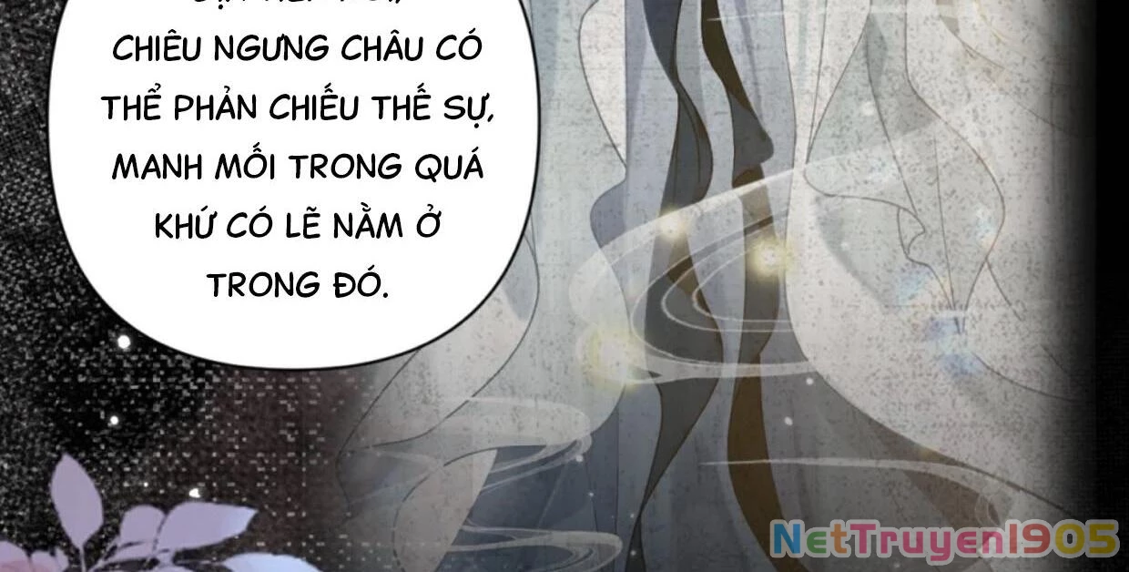 Đông Hải Tìm Mỹ Nhân Chapter 31 - 48