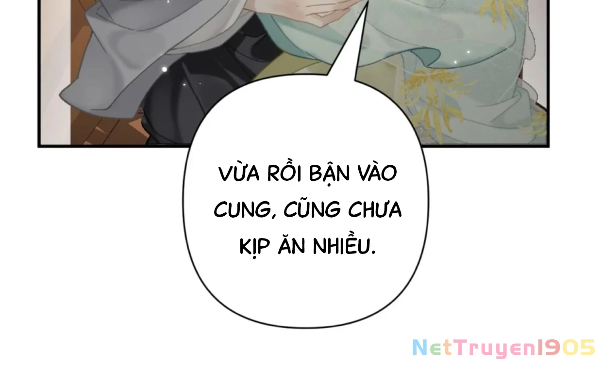 Đông Hải Tìm Mỹ Nhân Chapter 31 - 85