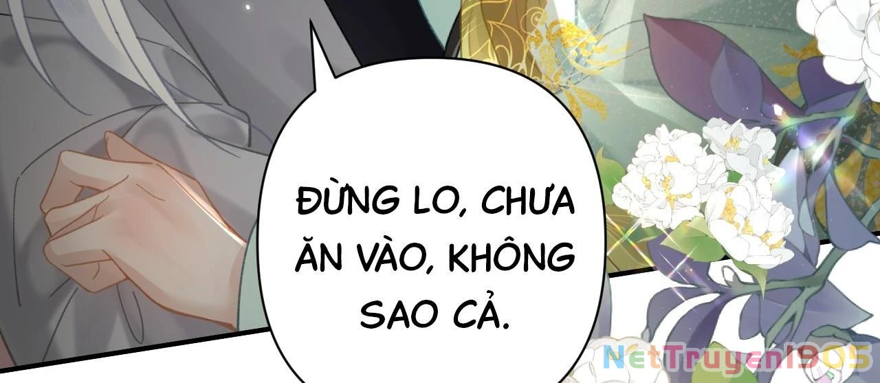 Đông Hải Tìm Mỹ Nhân Chapter 32 - 87