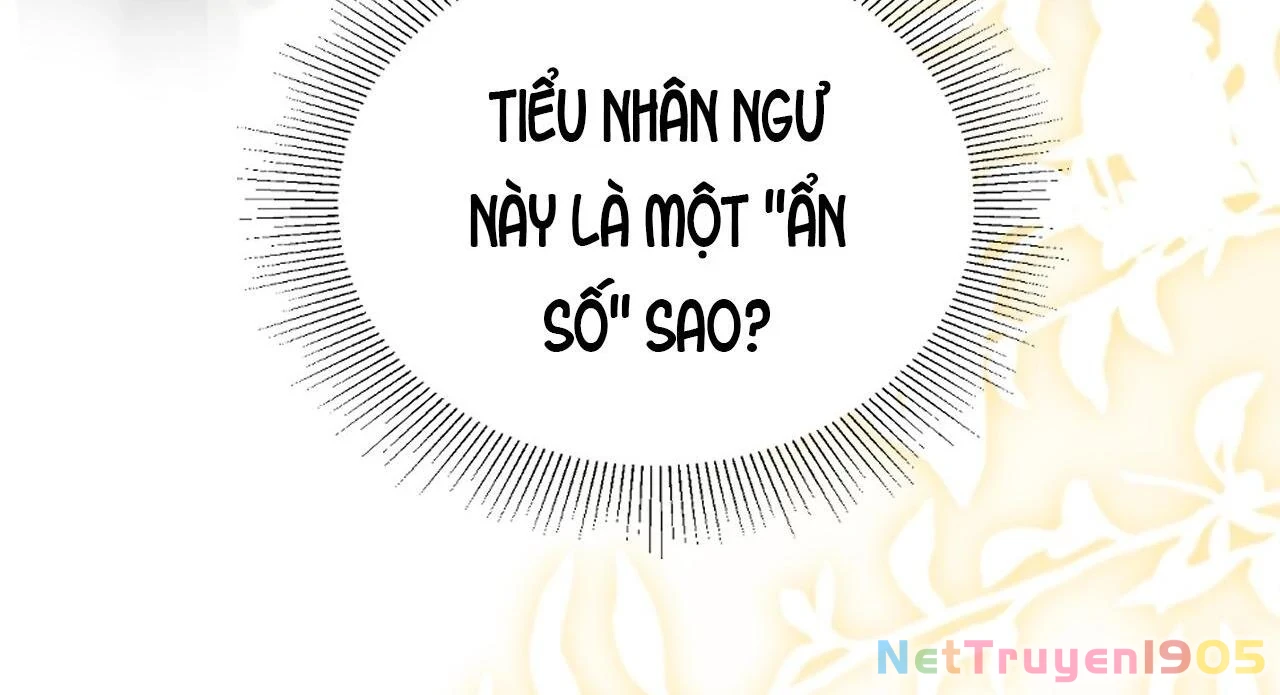 Đông Hải Tìm Mỹ Nhân Chapter 33 - 17