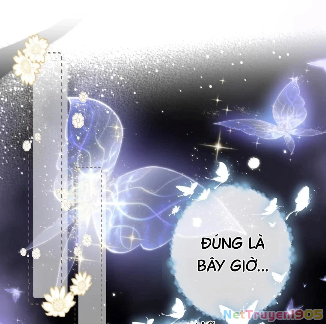 Đông Hải Tìm Mỹ Nhân Chapter 34 - 15