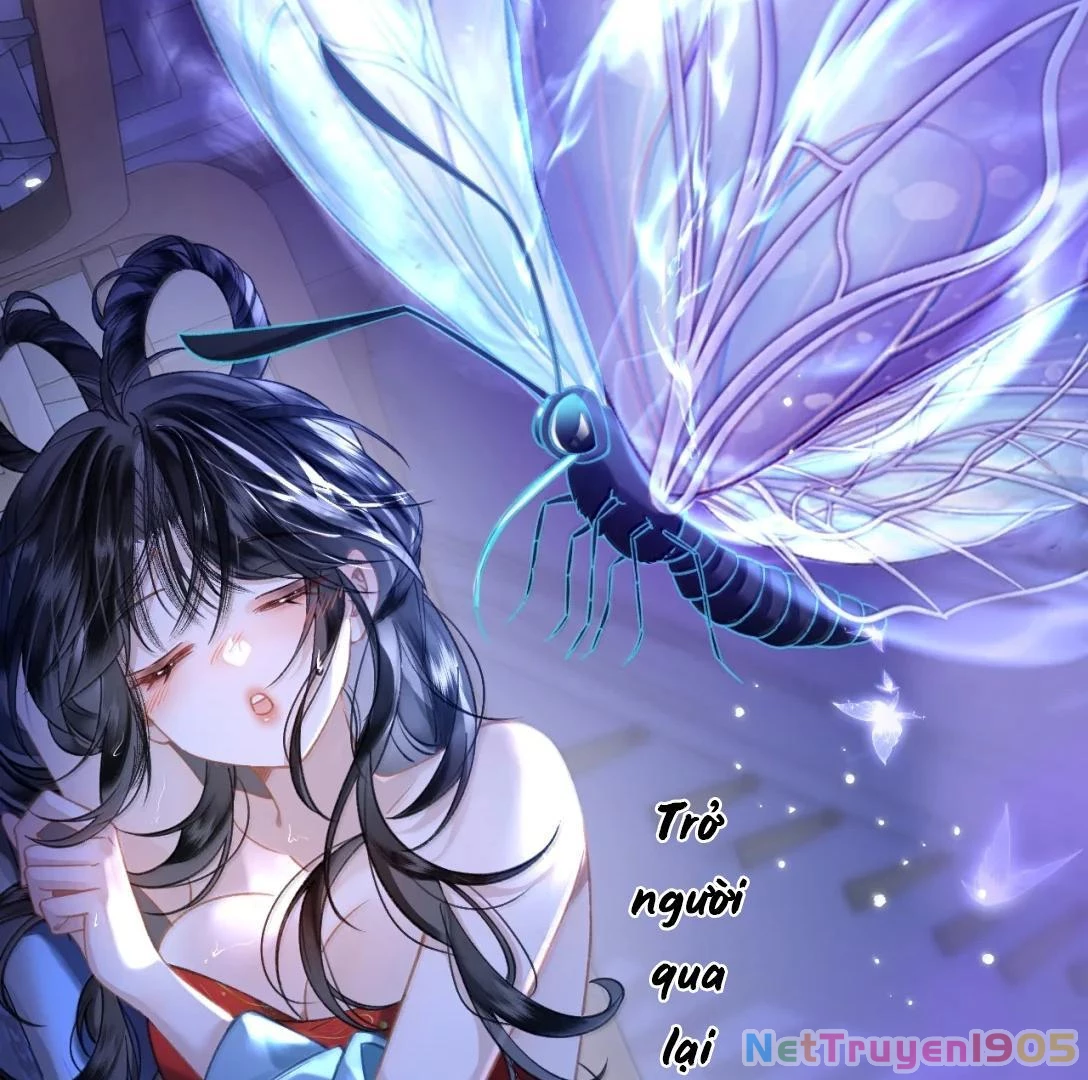 Đông Hải Tìm Mỹ Nhân Chapter 34 - 17