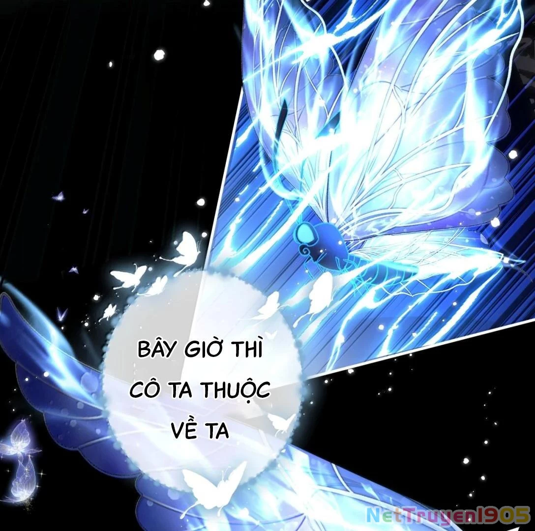 Đông Hải Tìm Mỹ Nhân Chapter 34 - 39