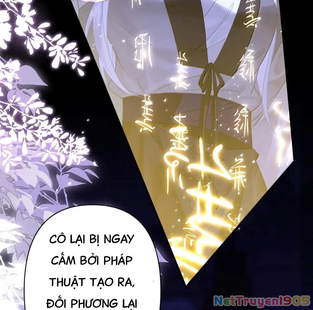 Đông Hải Tìm Mỹ Nhân Chapter 34 - 54