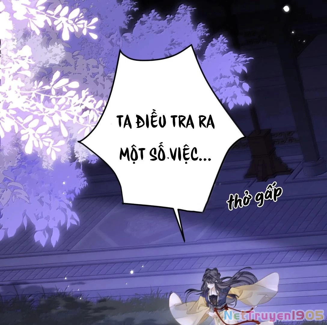 Đông Hải Tìm Mỹ Nhân Chapter 34 - 66
