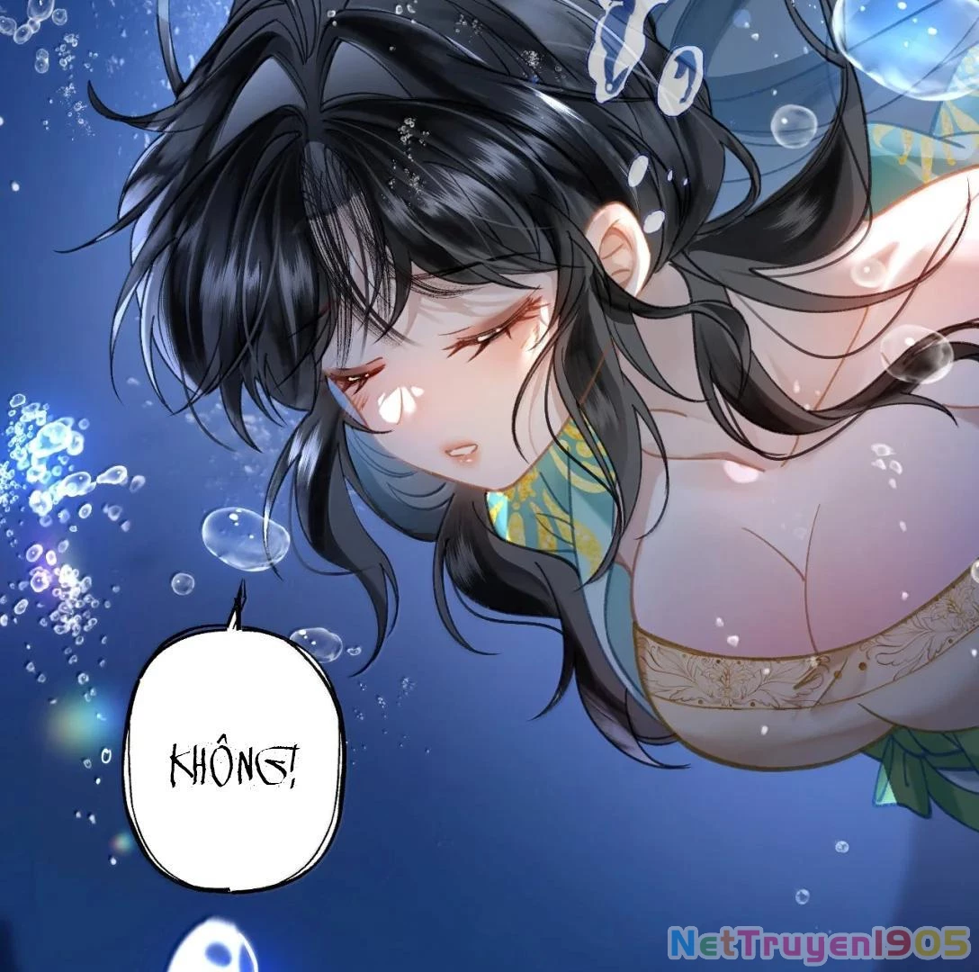 Đông Hải Tìm Mỹ Nhân Chapter 34 - 71