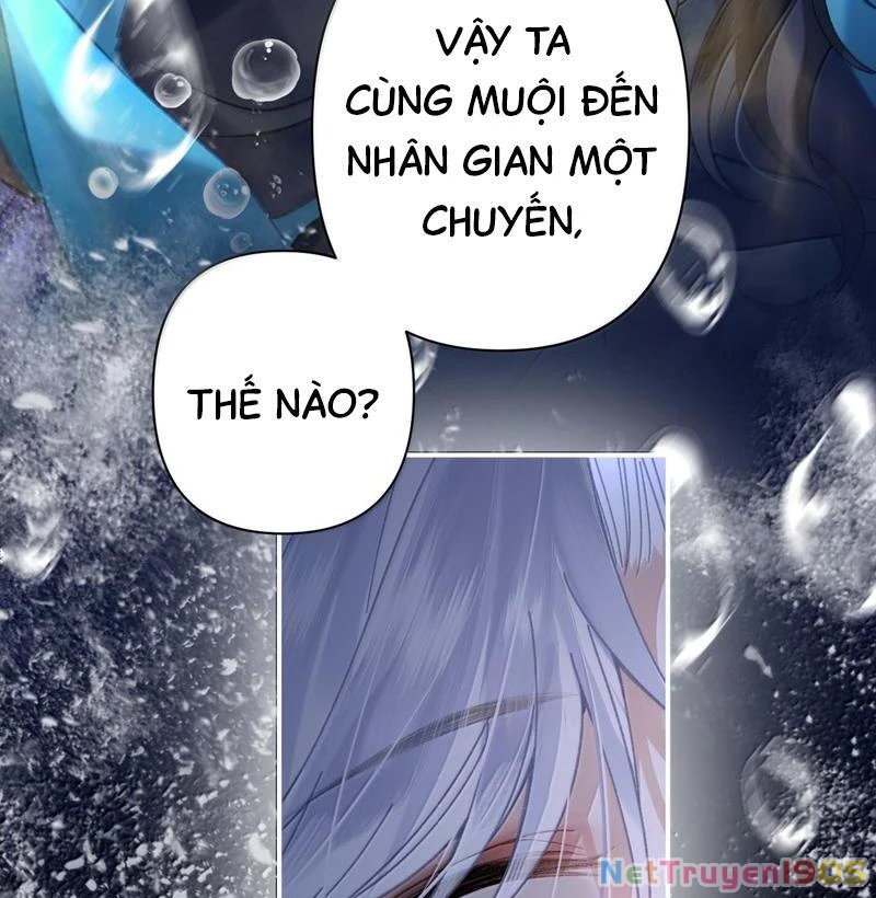 Đông Hải Tìm Mỹ Nhân Chapter 36 - 4
