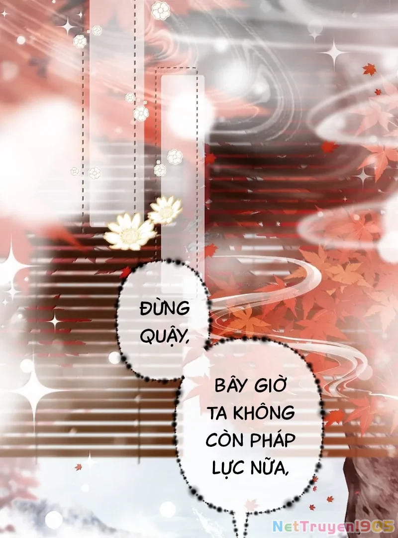 Đông Hải Tìm Mỹ Nhân Chapter 36 - 6