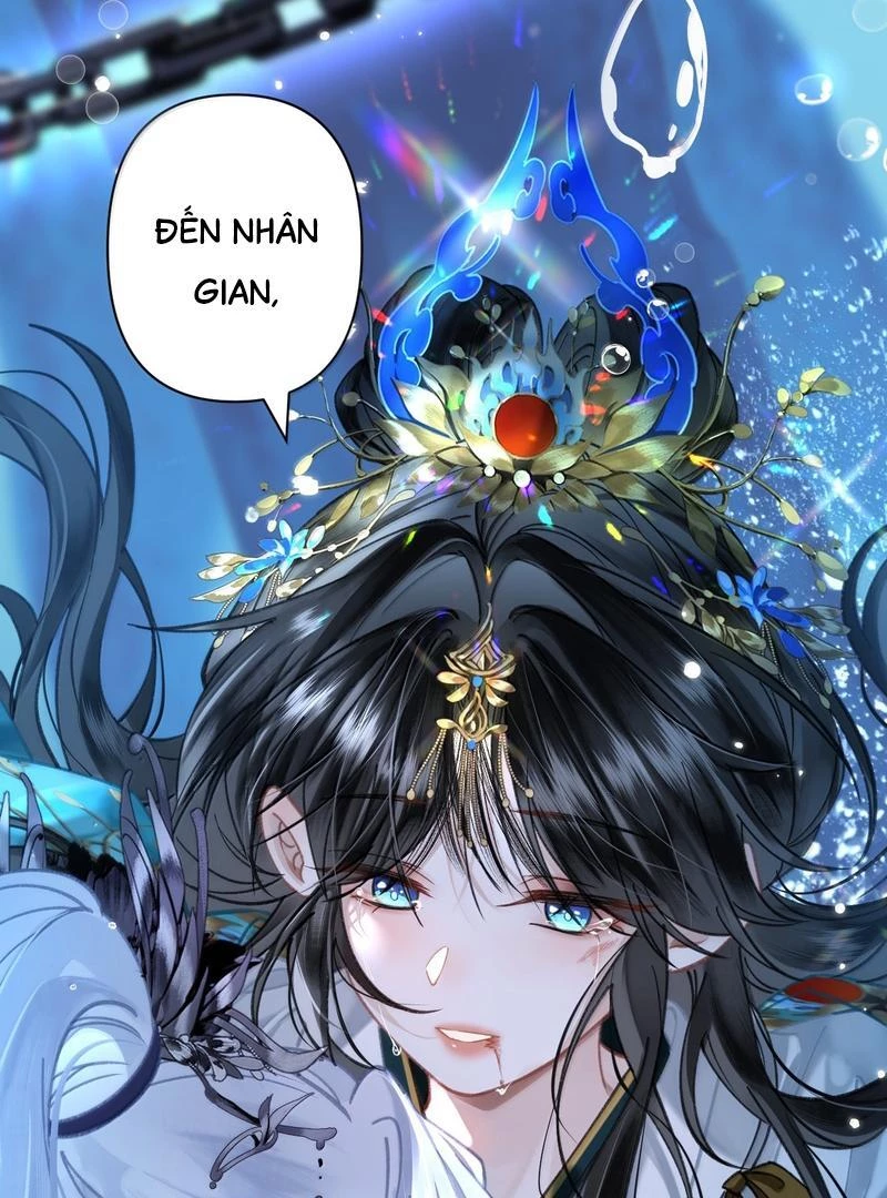 Đông Hải Tìm Mỹ Nhân Chapter 36 - 42