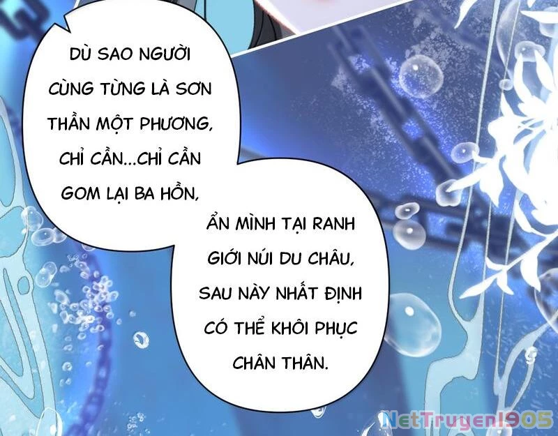 Đông Hải Tìm Mỹ Nhân Chapter 36 - 65