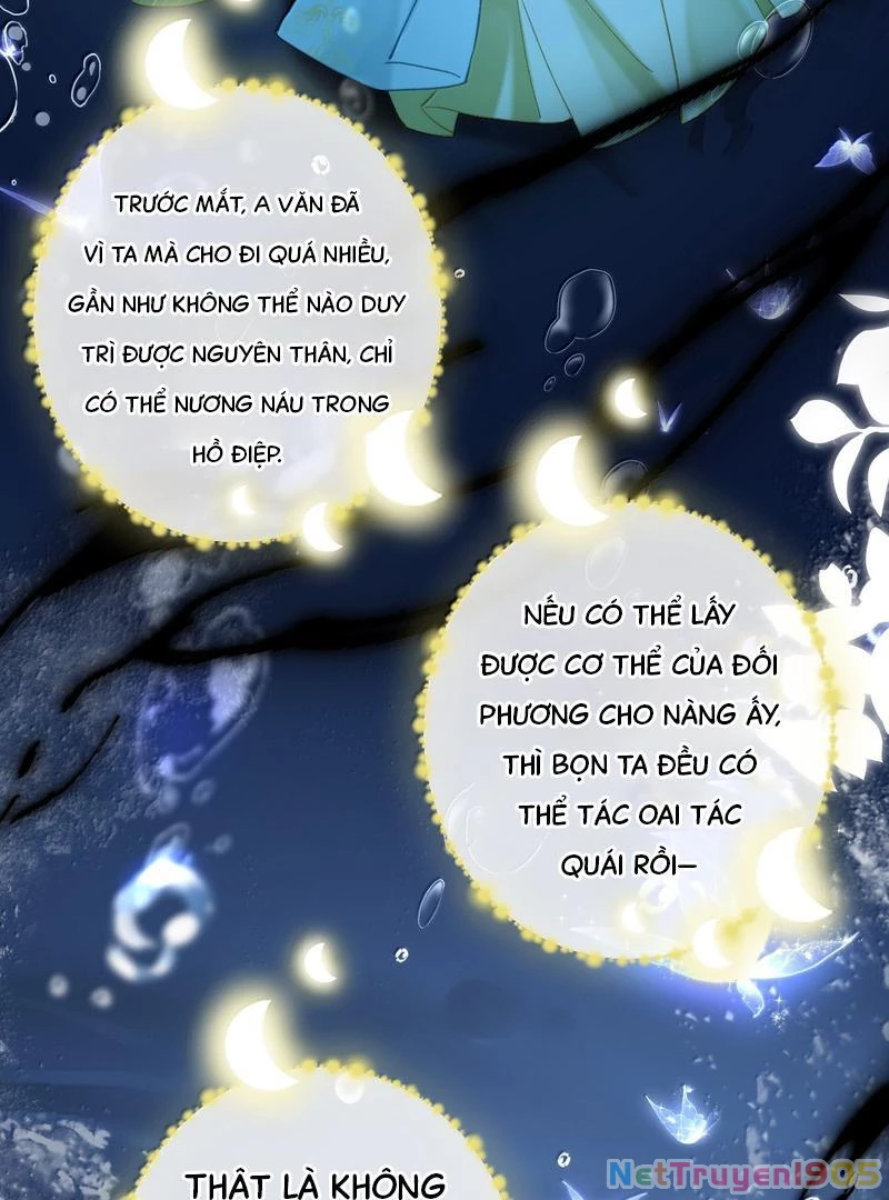 Đông Hải Tìm Mỹ Nhân Chapter 36 - 78