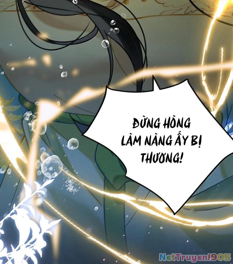 Đông Hải Tìm Mỹ Nhân Chapter 37 - 62