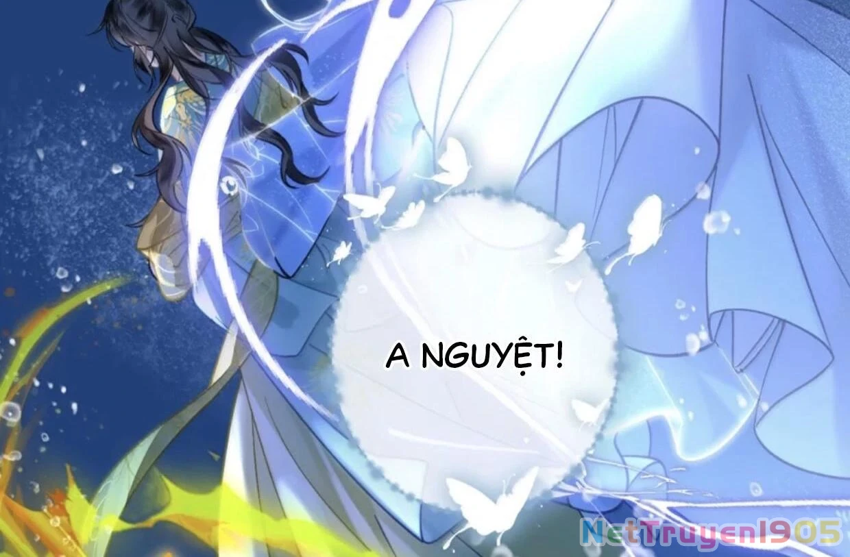 Đông Hải Tìm Mỹ Nhân Chapter 38 - 16