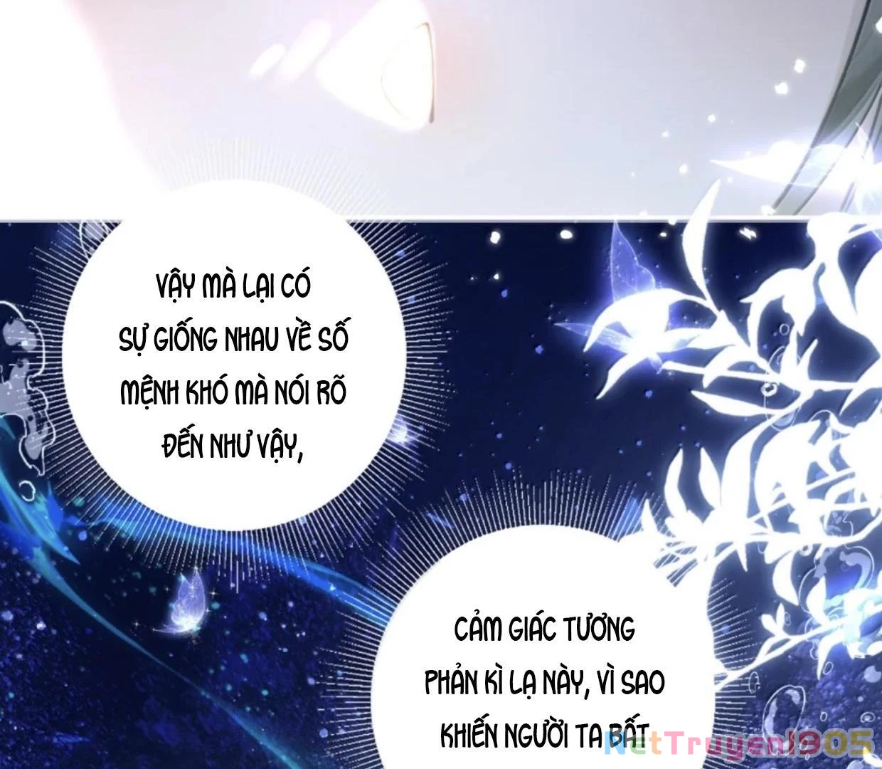 Đông Hải Tìm Mỹ Nhân Chapter 38 - 51