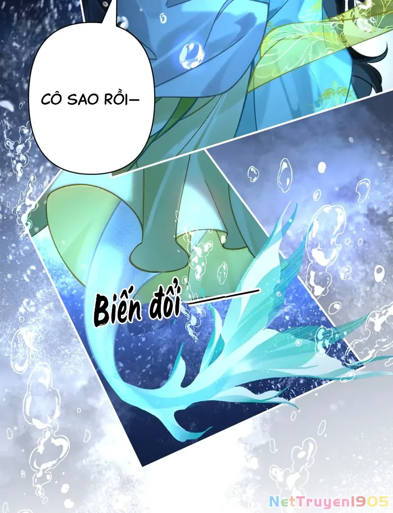 Đông Hải Tìm Mỹ Nhân Chapter 39 - 18