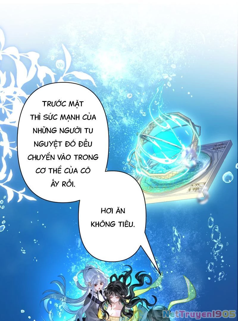 Đông Hải Tìm Mỹ Nhân Chapter 39 - 19