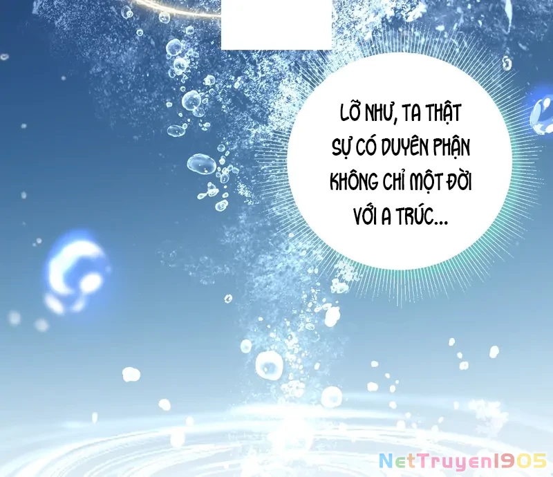 Đông Hải Tìm Mỹ Nhân Chapter 39 - 38