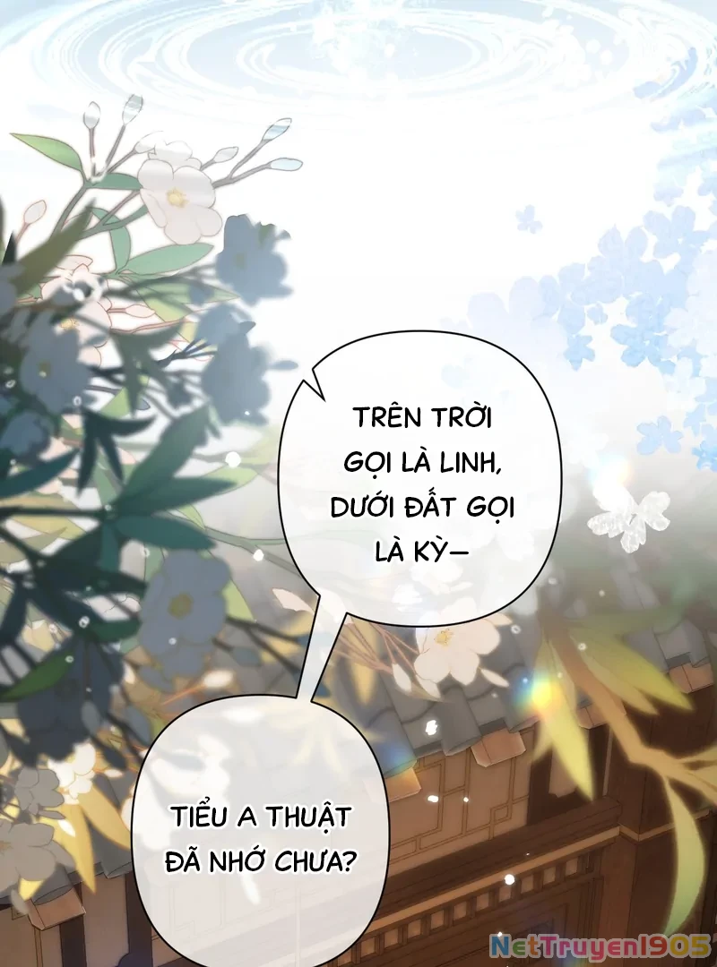 Đông Hải Tìm Mỹ Nhân Chapter 39 - 39