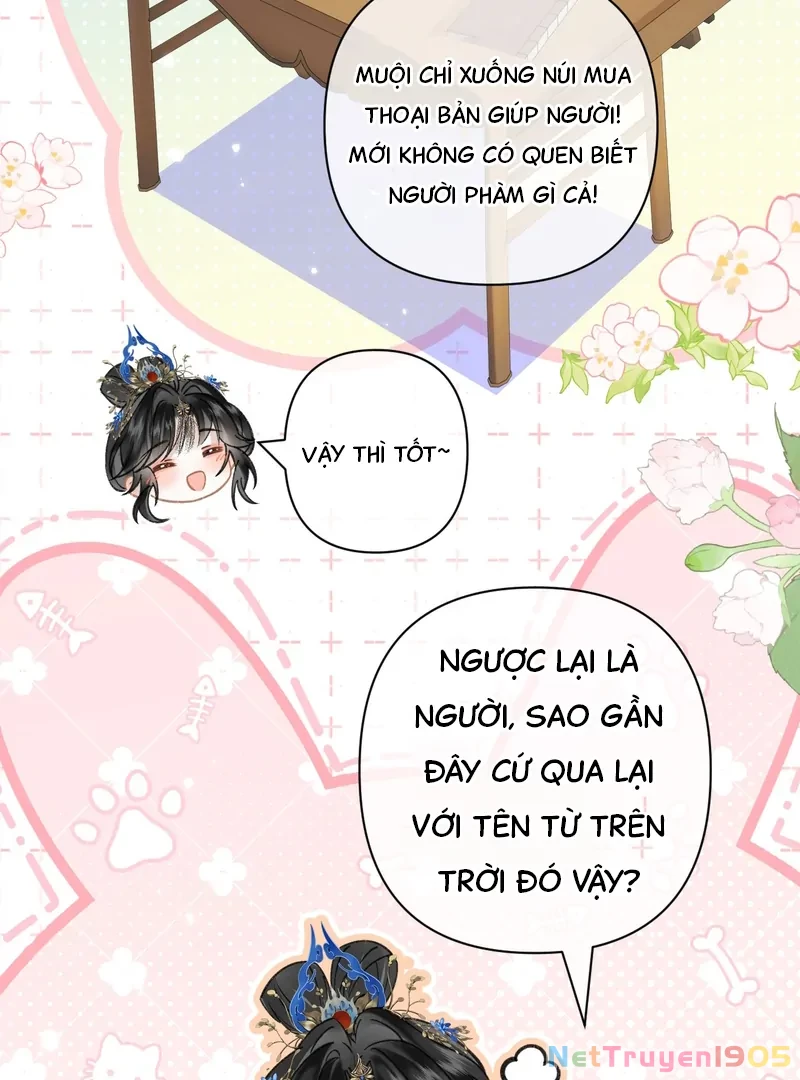 Đông Hải Tìm Mỹ Nhân Chapter 39 - 45