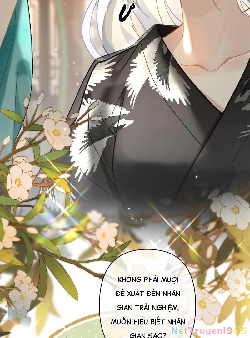 Đông Hải Tìm Mỹ Nhân Chapter 40 - 8