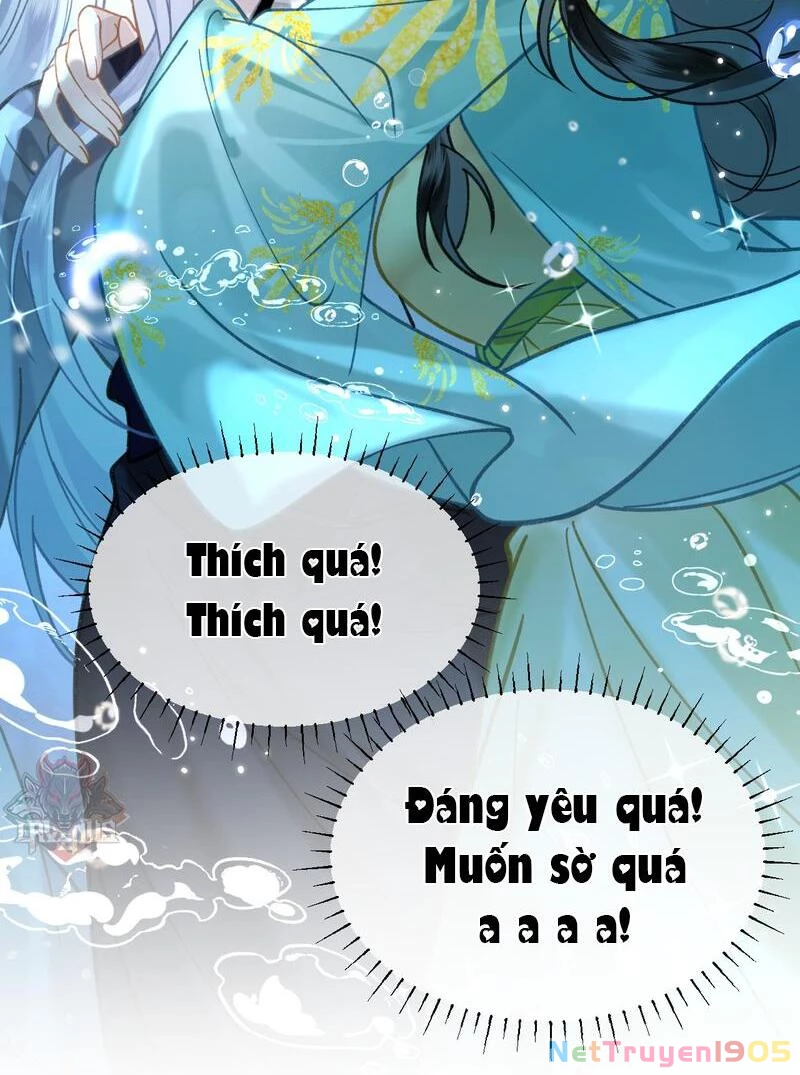 Đông Hải Tìm Mỹ Nhân Chapter 40 - 17