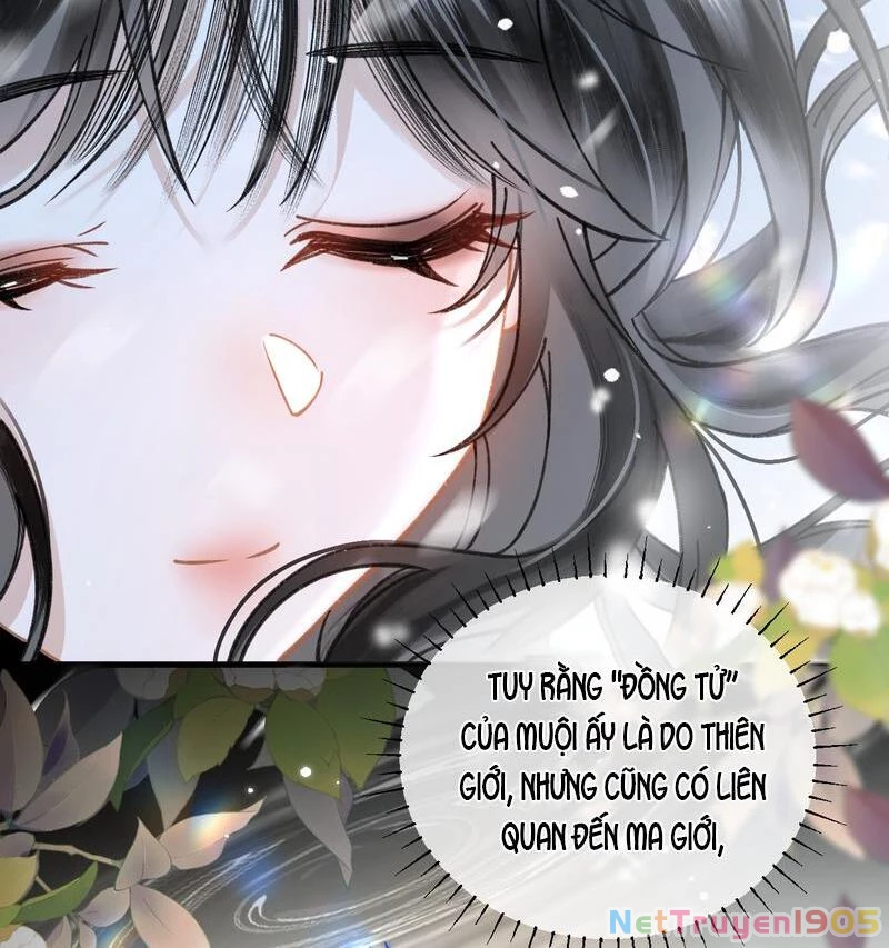 Đông Hải Tìm Mỹ Nhân Chapter 40 - 29