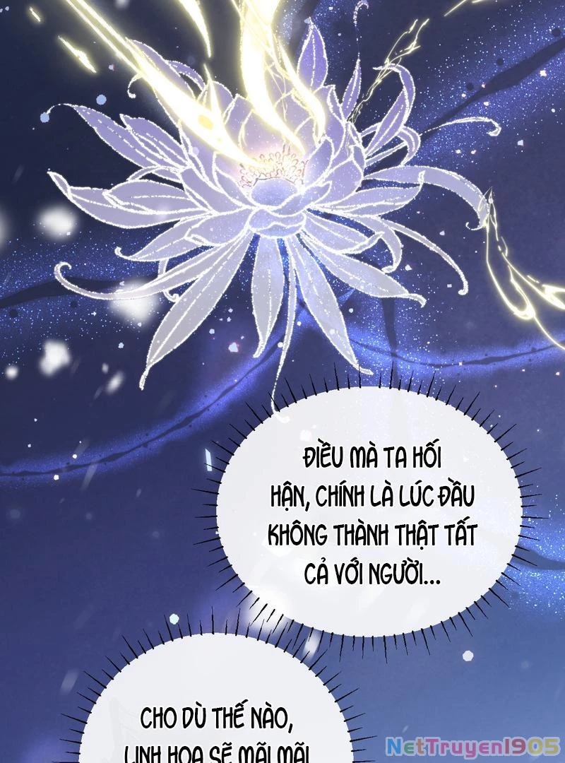 Đông Hải Tìm Mỹ Nhân Chapter 40 - 52