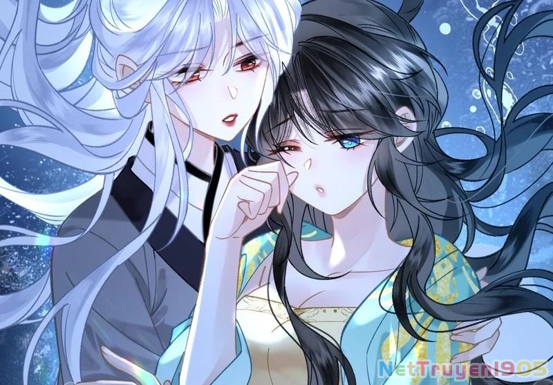 Đông Hải Tìm Mỹ Nhân Chapter 40 - 58