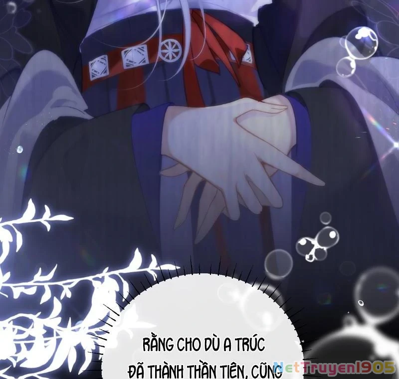 Đông Hải Tìm Mỹ Nhân Chapter 40 - 69