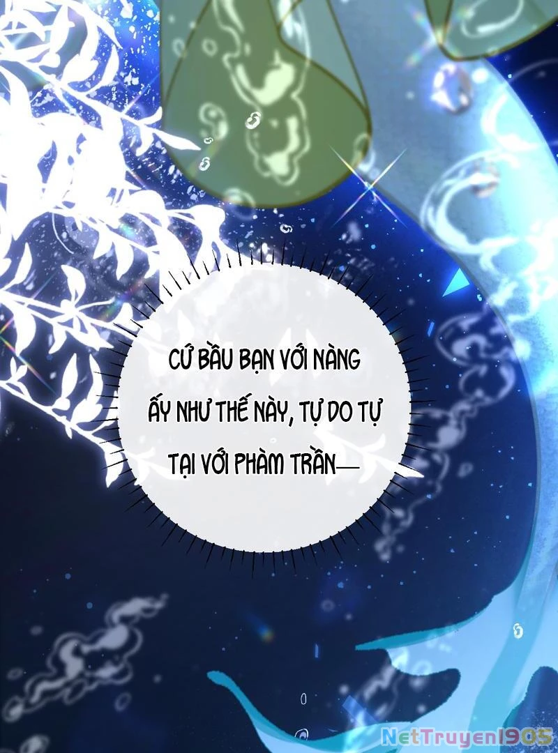 Đông Hải Tìm Mỹ Nhân Chapter 40 - 74