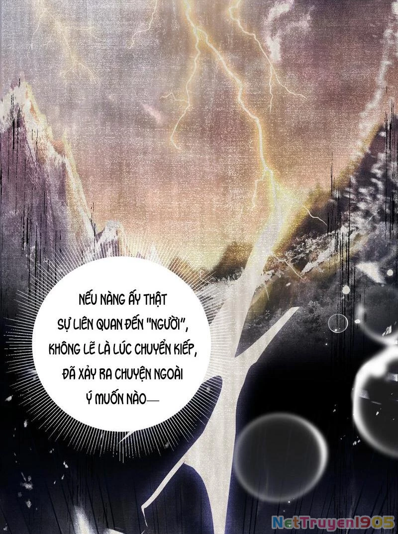 Đông Hải Tìm Mỹ Nhân Chapter 41 - 18