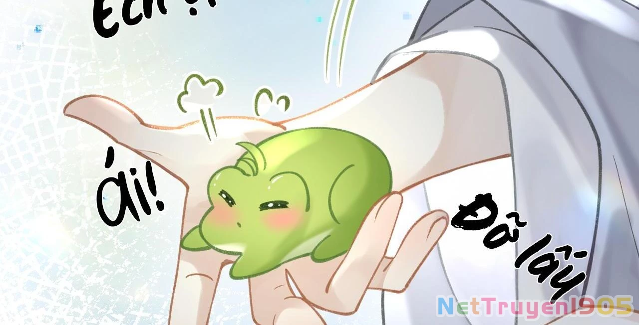 Đông Hải Tìm Mỹ Nhân Chapter 42 - 55