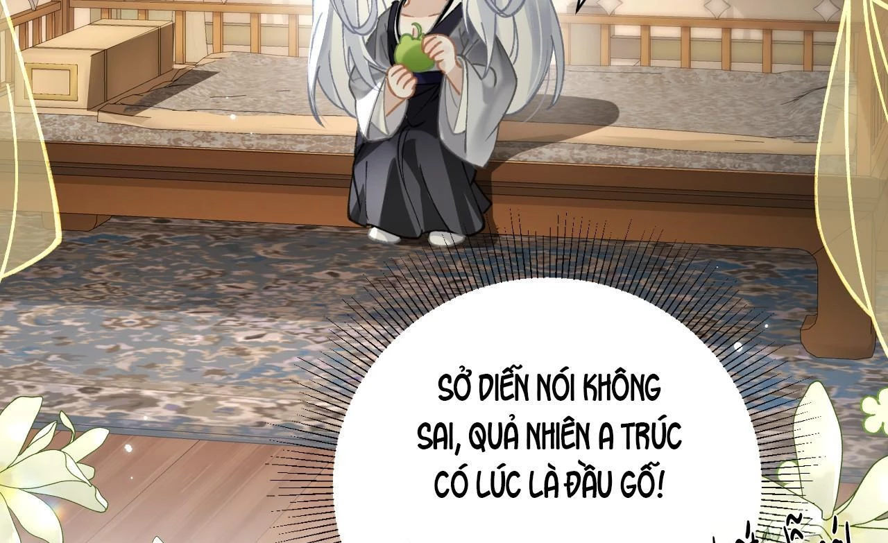Đông Hải Tìm Mỹ Nhân Chapter 42 - 64