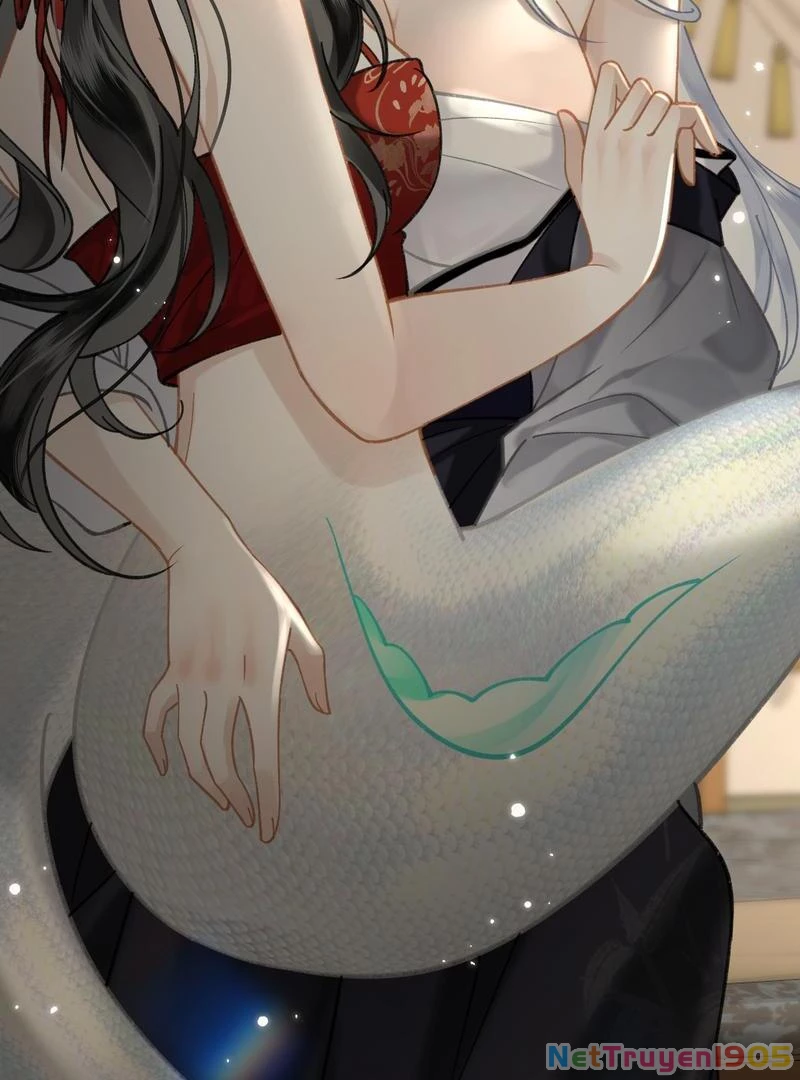 Đông Hải Tìm Mỹ Nhân Chapter 43 - 7
