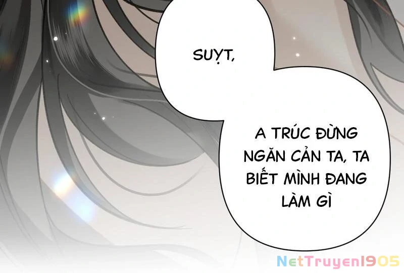 Đông Hải Tìm Mỹ Nhân Chapter 43 - 17