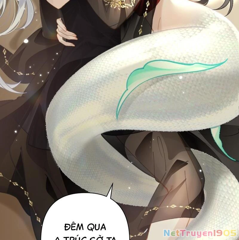 Đông Hải Tìm Mỹ Nhân Chapter 44 - 5