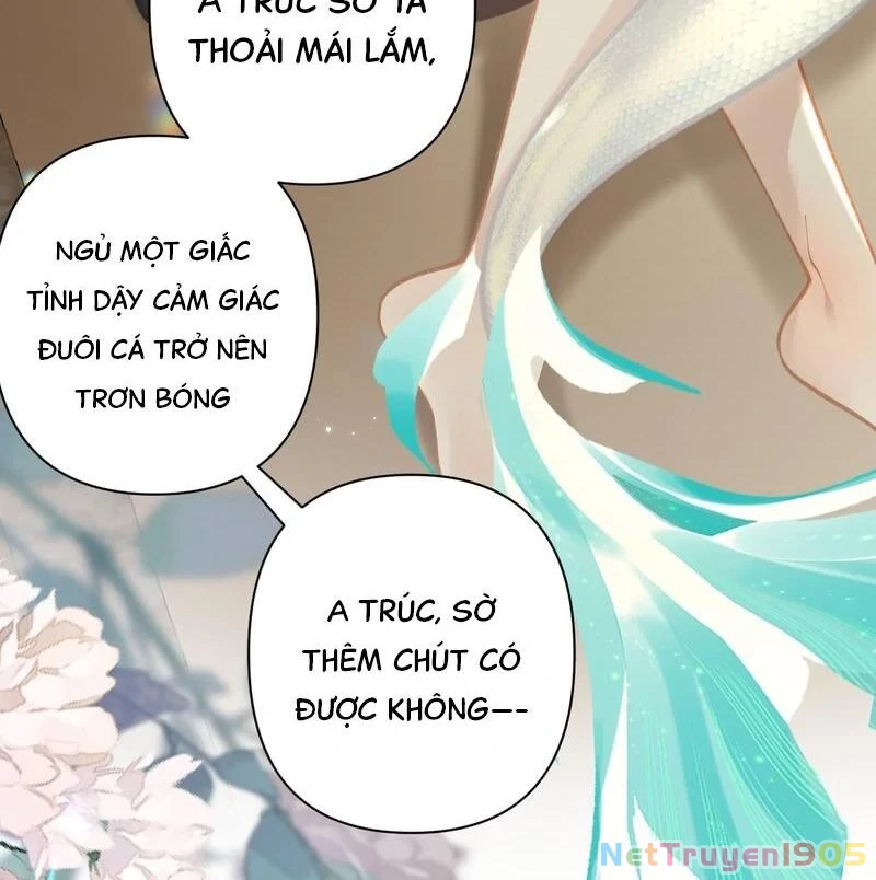 Đông Hải Tìm Mỹ Nhân Chapter 44 - 6