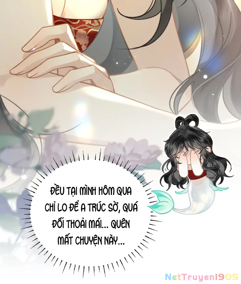 Đông Hải Tìm Mỹ Nhân Chapter 44 - 11